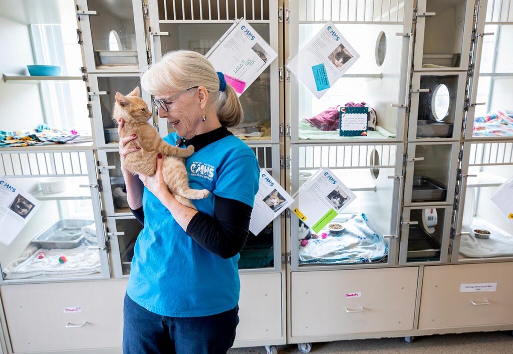 Volunteer comforting a kitten at Gloucester Mathews Humane Society 