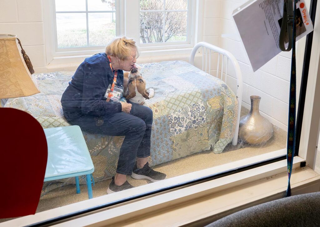 Woman playing with dog on bed at Gloucester Mathews Humane Society