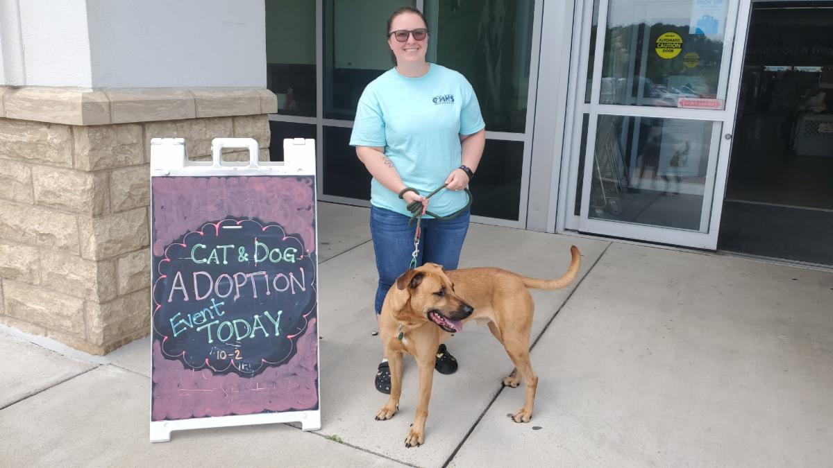 Staff holding leashed brown dog next to adoption event sign